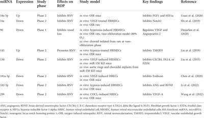 Noncoding RNAs as a novel approach to target retinopathy of prematurity